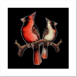 Red Cardinal bird male female Posters and Art